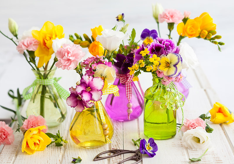flowers flowers  / colored flowers