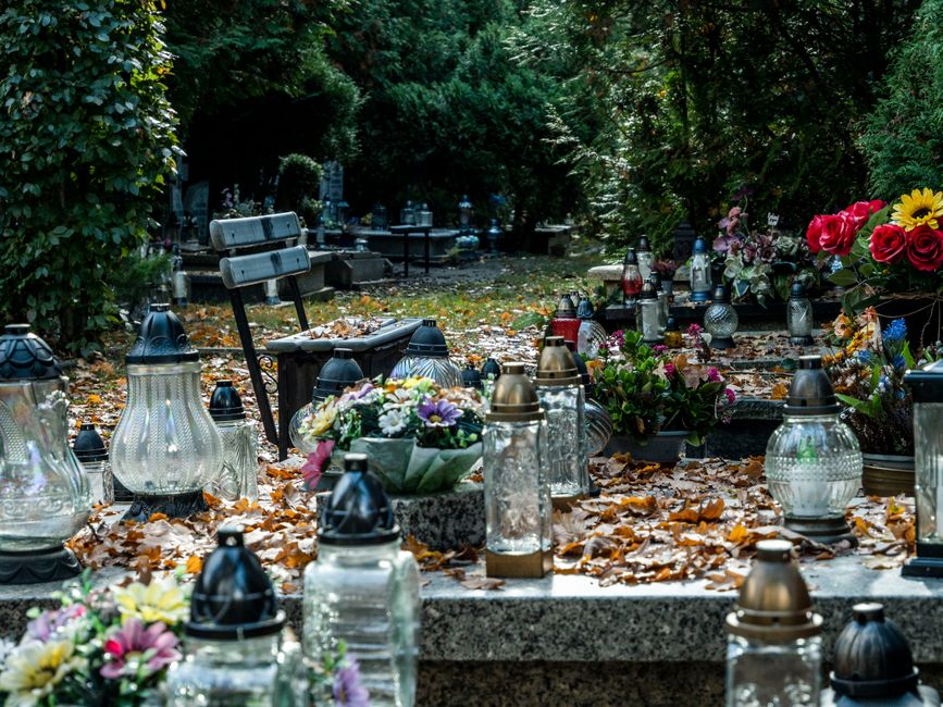A collection of floral arrangements featuring vibrant pink roses, yellow sunflowers, purple and white daisies, and assorted greenery arranged in glass and ceramic vases, along with several white and s