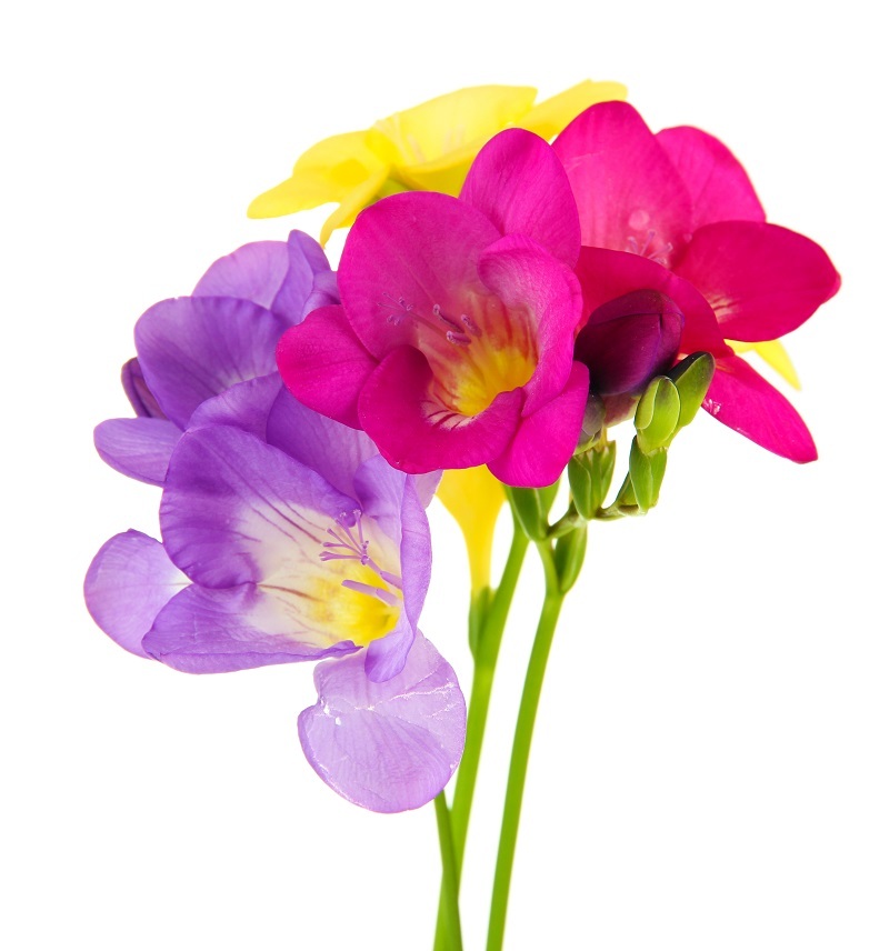 wedding flowers bouquets